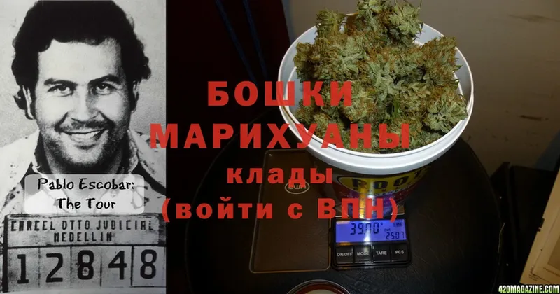 Бошки марихуана THC 21%  Усть-Лабинск 